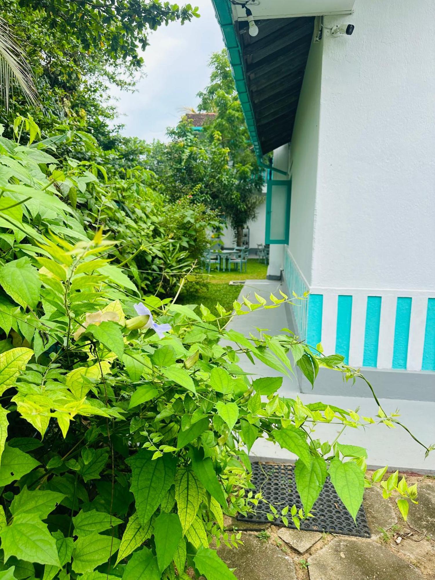 Villa 47 Hikkaduwa Exterior foto